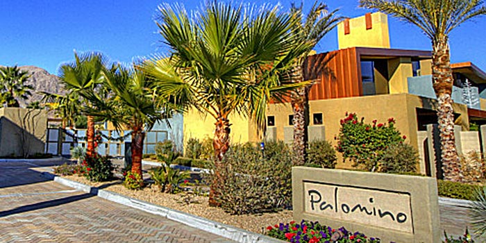 Image 1 for Palomino
