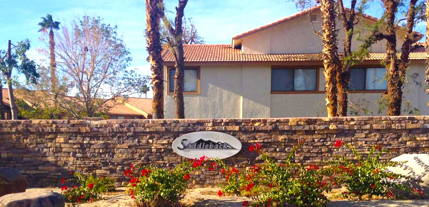 Image 2 for Saddleback